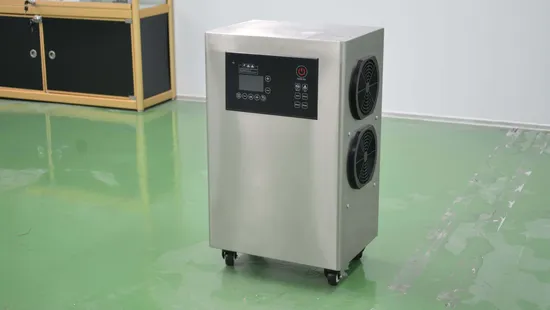 China Manufacturer Cheap 20g Home Ozone Generator Air Purifier Drinking Water Treatment